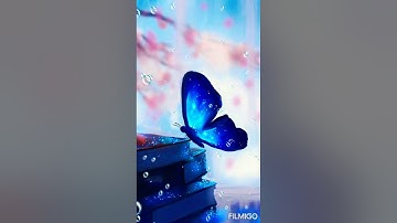 اجمل تلاوه⁦❤️⁩ سورة الأعلى#بصوت الشيخ خالد الجليل،💚⁦❤️⁩