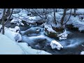 あぁ奥入瀬に雪が舞う/木原たけし  Cover かゑるくん 🎤