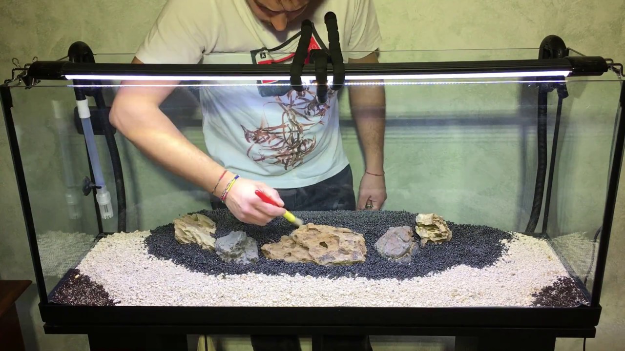 tutorial allestimento acquario aquarium 