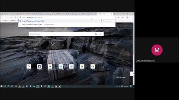 Debugging Mule Application