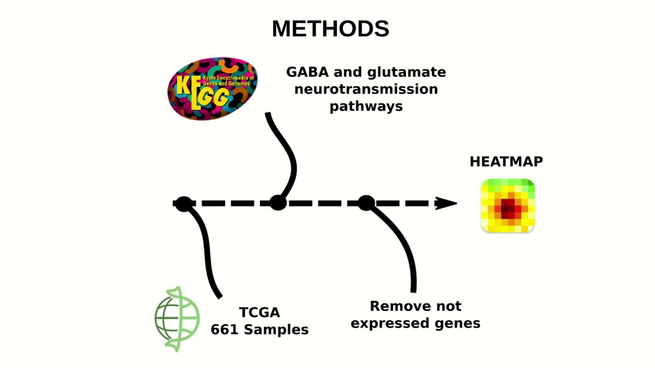 The IDH mutation induces a glutamate and... - Hoang Dong Nguyen - TransMed - Poster - ISMB/ECCB 2021