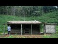 65 days building bamboo house 1 year solo survival  full