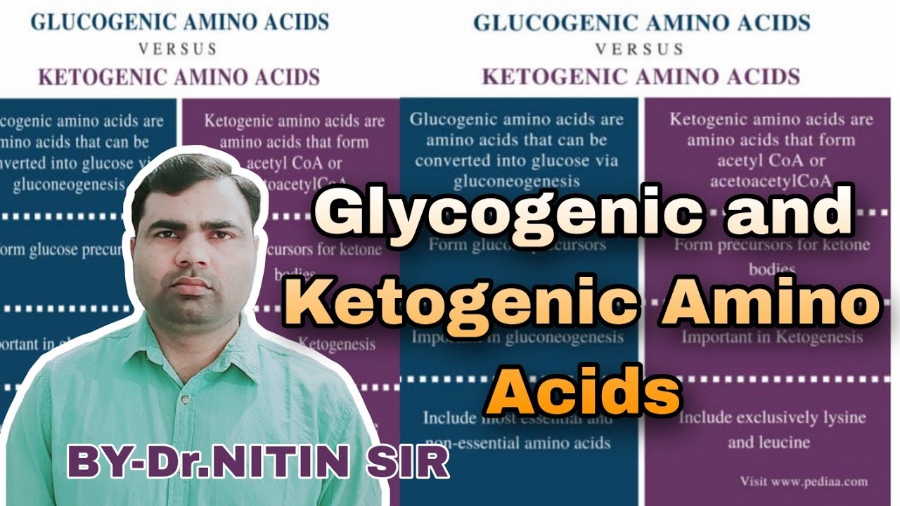 Glycogenic and Ketogenic Amino Acids // ग्लूकोजेनिक एवं कीटोजेनिक अमीनो ...