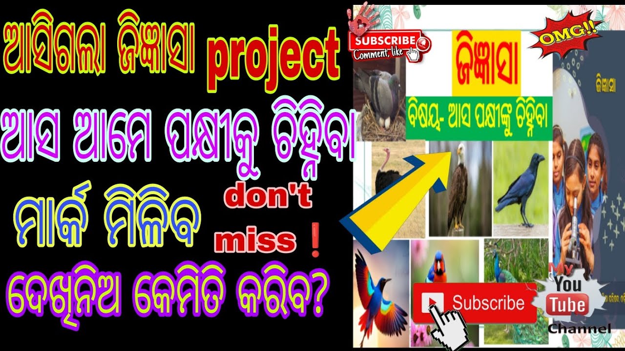 Jigyasa Project Asha Pakhinku Janiba jigyasa jigyasa-project-asha-pakhinku-janiba-jigyasa
