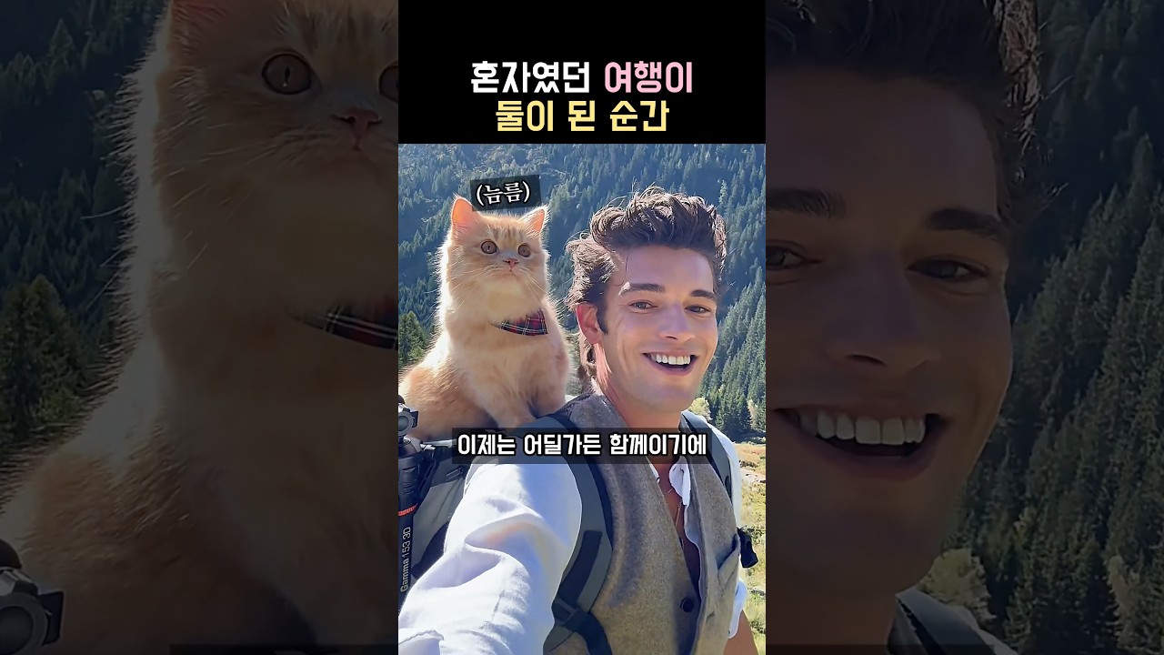 혼자였던 여행이 둘이 된 순간... 😢