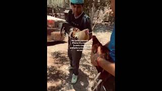 #creadordecontenido #viralvideo #seguidores #gallos #gallodeoro