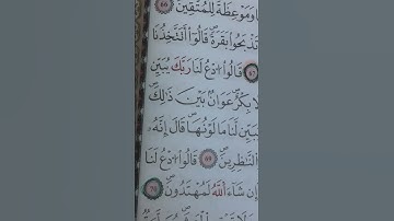 سورة#البقرة الآية 68 ، 69 ، 70 برواية#ورش عن نافع