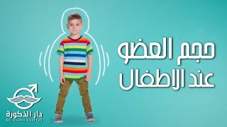 حجم العضو عند الاطفال