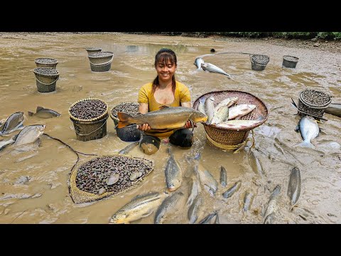 Harvesting A Lot Of Fish in The Pond goes to market sell - Take care my farm | Phuong Daily Harvest