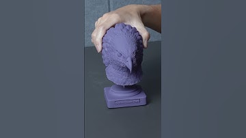 🦅 Fierce in Focus—Crested Serpent Eagle Head Sculpt​