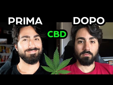 Video: La Legalizzazione Della Marijuana Sta Mettendo In Pensione I Cani Antidroga