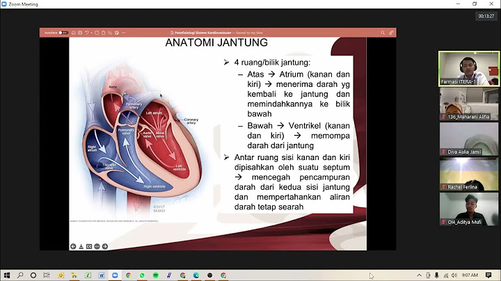 Mengapa di paru-paru terjadi difusi karbondioksida dari kapiler vena menuju alveolus