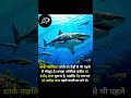 "🦈 शार्क – धरती पर पेड़ों से भी पुरानी"🔥:#SharkFacts #AncientCreatures #OceanSecrets #AmazingAnimals