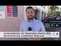 Dron capta a tiburón martillo nadando entre surfistas en la bahía de Tampa