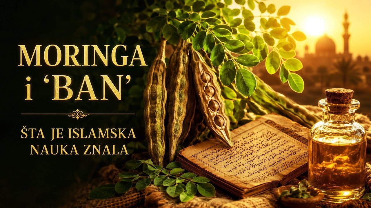 Moringa i 'Ban': Biljka Koju je Klasična Islamska Nauka Poznavala Prije Zapada