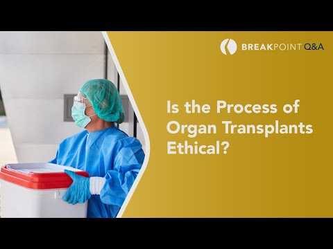 Is the Organ