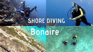 what's it like SHORE DIVING in BONAIRE (4K)