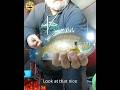 Go DOWN the hole. #fishing #icefishing #bluegill #fyp #foryoupage