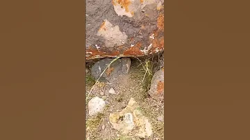 به هر سنگ نشانی که مشکوک شديد به زیرسازی و سنگ تعادل آن توجه کنید گنج دفینه زیرخاکی طلسم قبر سنگ تل 