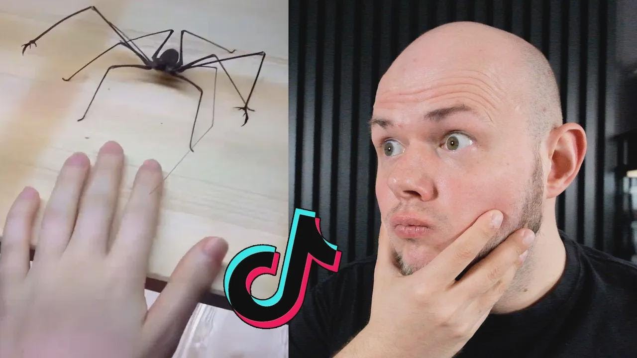 What Is That Beast!? Reacting to Subscribers' Videos! Part 5