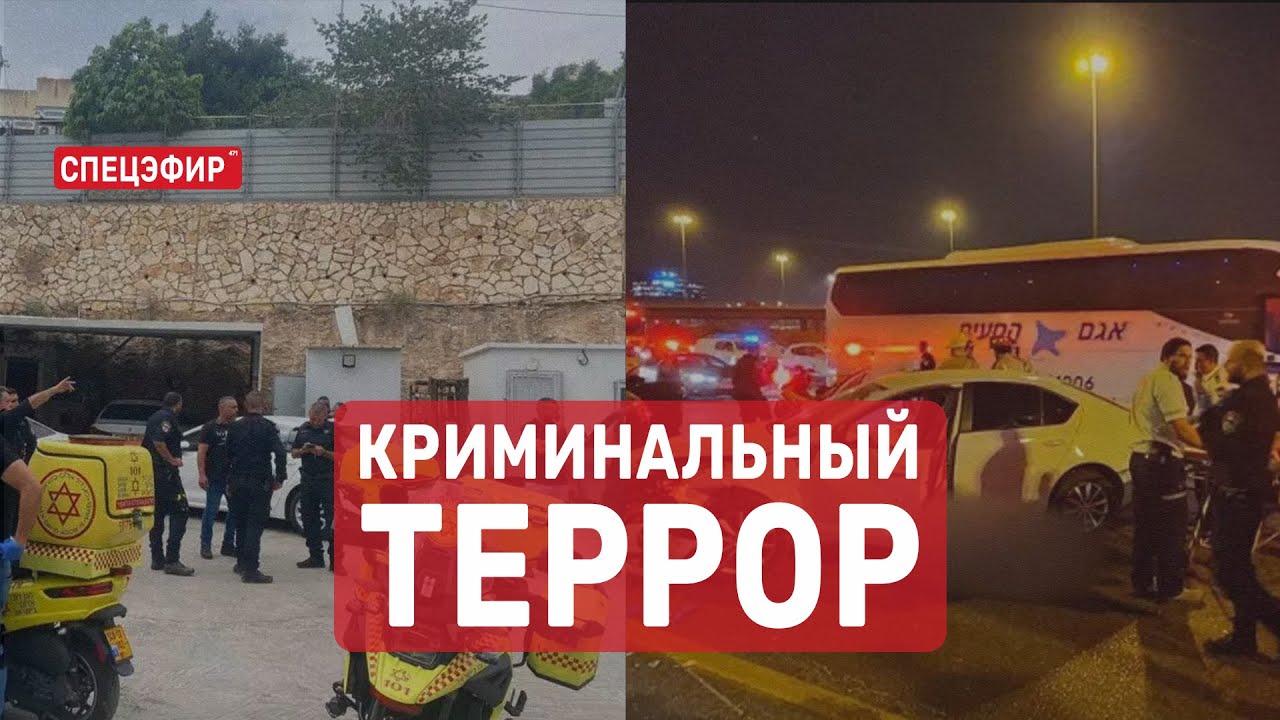 Криминальный террор. СПЕЦЭФИР 🔴 9 Июня | Утро - YouTube