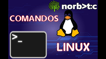 Linux al Máximo: Comandos Esenciales para el Control Total  - Comando ls