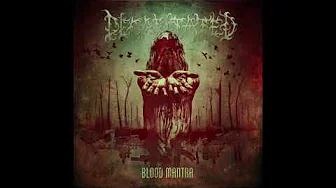 DECAPITATED - Blood Mantra/Mantra Krwi/Bonus Track 2014 full album DECAPITATED - Blood Mantra/Mantra Krwi/Bonus Track 2014 full album