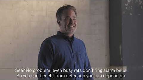 Bosch Security - Bosch motion detectors - Small animal immunity