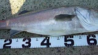 CIMG5268.AVI