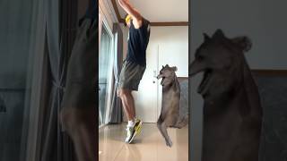 Обучение Тренду: Ихвильнихт | Ich Will Nicht Dance Tutorial | Танец Волка Обучение 🔥#Ихвильнихт