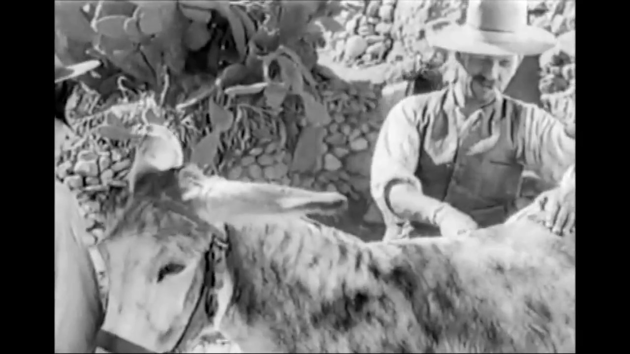 El Sacromonte en 1943   Forja de Almas