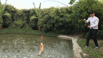 Câu Cá Giải Trí - Câu Được Con Cá Chim Động Cả 1 cái Ao