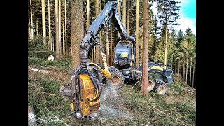 4K|*KingLogger* • Ponsse ScorpionKing • fast logging • HarvesterAction • Forstbetrieb Hipp • Drone