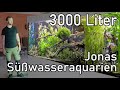 Jonas XXL Aquarien | Professionelle Aquarien und Pflege-Tour (Süßwasser)