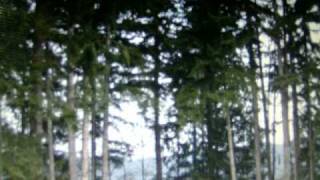 Victory motorcycle Kingpin 2007 & Sukiyaki 2009