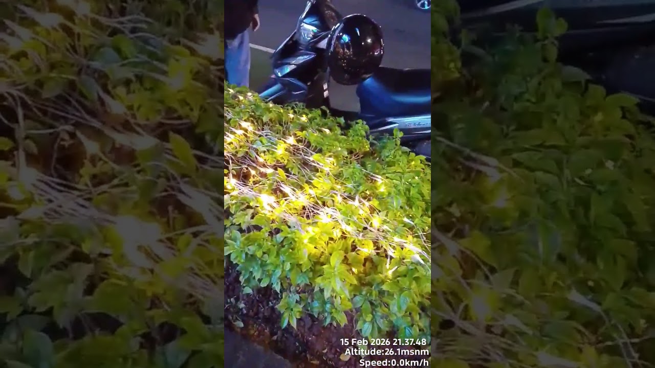 Bundaran hotel Indonesia 