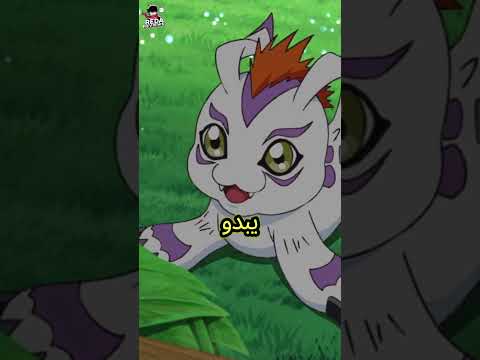 أغرب 3 حيوانات في عالم الأنمي انمي 