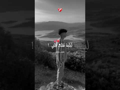 سربي سربي ليلة نحرق قلبي تصميم فيديوهات 