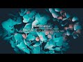 [Lyrics + Romaji + Vietsub] Blue Flower - SEKAI NO OWARI (audio from live tour The Colors 2019)