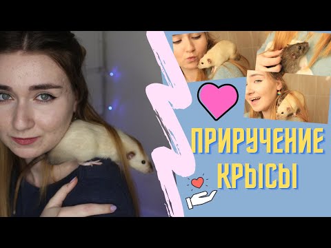 Видео на YouTube