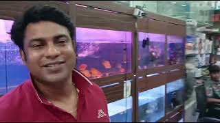 Aqua Desire, Aquarium & Pet Shop , Gurgaon by Under one Umbrella 380 views 10 months ago 6 minutes, 2 seconds
