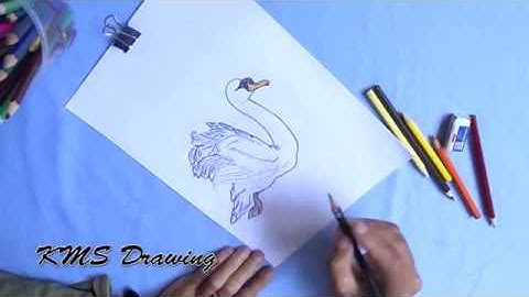 Art for Kids | How to Draw a Goose Easy Step by Step | Drawing for Kids