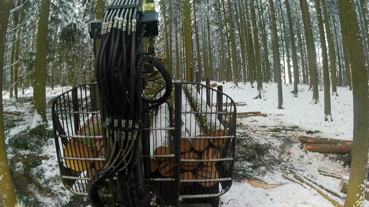 Ponsse Buffalo Part 8