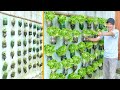 Vertical Vegetable Gardens Are Convenient And Great, Good Ideas For Don&#39;t Have A Garden
