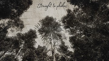 Straight To Phobos  "A Solitary Reign" | Official Music Video | Doom/Black metal/Post-metal | 4K |