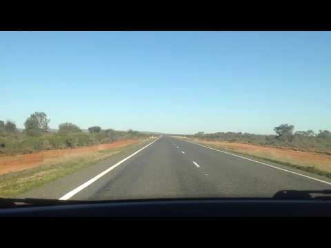 Driving accident with kangaroo