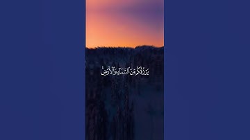 القرآن الكريم راحة نفسية تلاوة خاشعة حالات واتس اب قرآن كريم