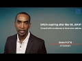FREE DACA RENEWALS - Shan Potts Law Offices (323 803 7147)