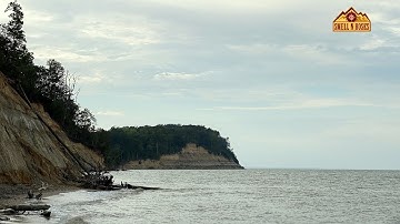 Calvert Cliffs, Maryland~Hiking the Red Trail