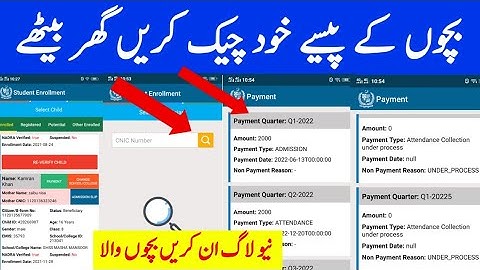 waseela E taleem payment check 2024|Student Enrollment payment check 2024|بچوں کے پیسے خود چیک کریں
